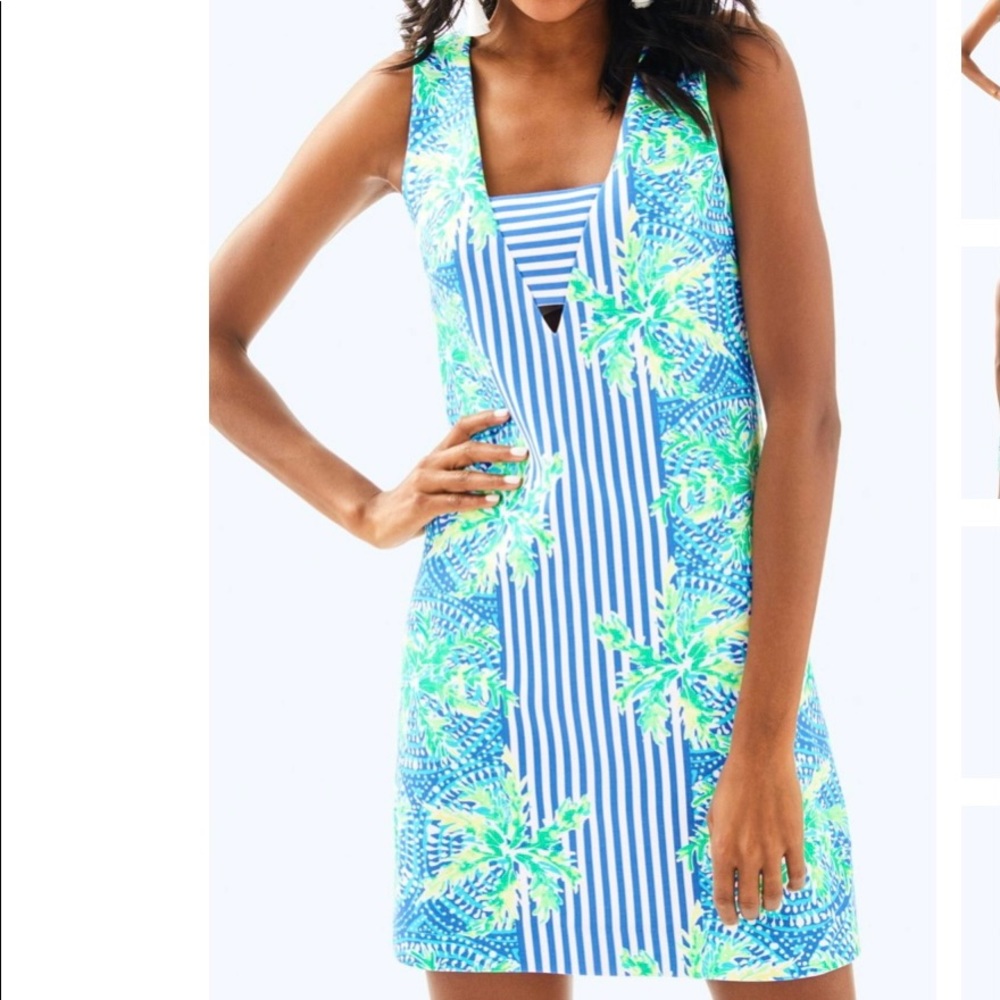 COPY - Lilly Pulitzer Chiara dress